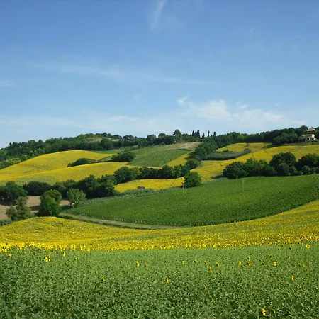 Stella Del Mattino Appartement