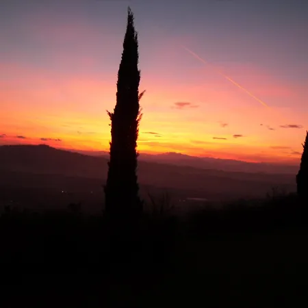 Stella Del Mattino Pesaro