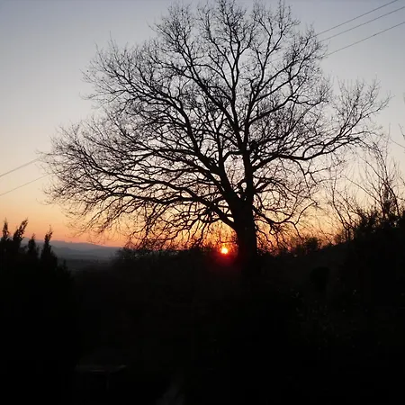 Stella Del Mattino Apartamento Pesaro